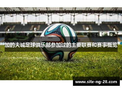 加的夫城足球俱乐部参加过的主要联赛和赛事概览