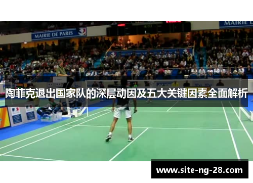 陶菲克退出国家队的深层动因及五大关键因素全面解析