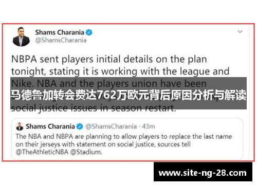 马德鲁加转会费达762万欧元背后原因分析与解读