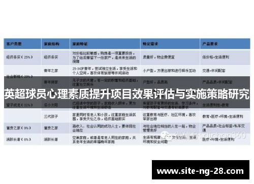 英超球员心理素质提升项目效果评估与实施策略研究