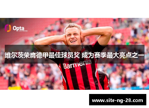 维尔茨荣膺德甲最佳球员奖 成为赛季最大亮点之一